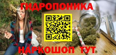 скорость Кингисепп