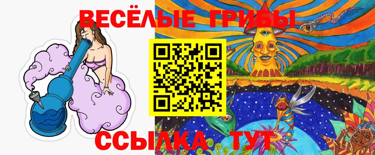 Галлюциногенные грибы мухоморы Кингисепп