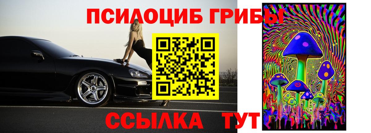 Кингисепп  Галлюциногенные грибы Psilocybine cubensis  Вход с VPN 